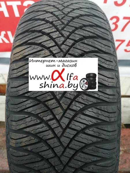 Goodride All Season Elite Z-401 195/55R16 91V